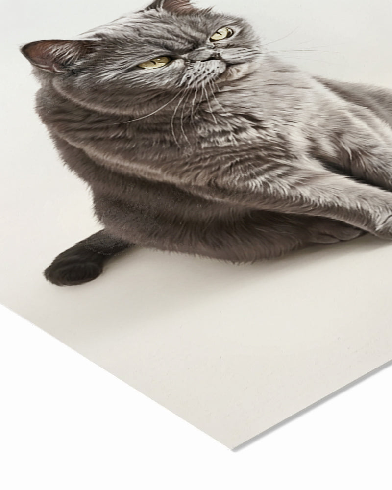 Gatos - Poster com Moldura Metálica Deluxe