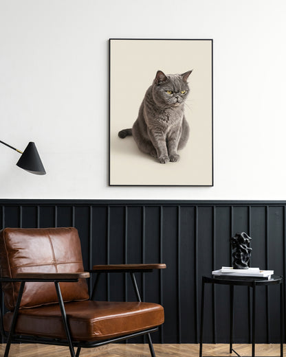 Gatos - Poster com Moldura Metálica Deluxe